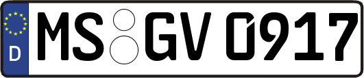 MS-GV0917