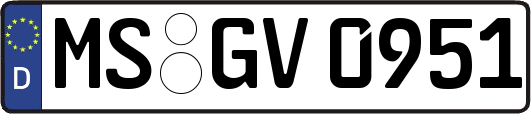 MS-GV0951