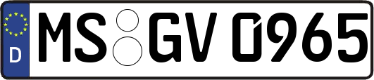 MS-GV0965