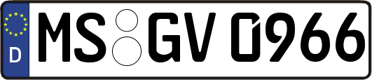 MS-GV0966