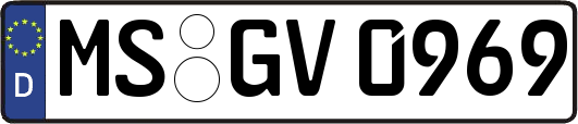 MS-GV0969