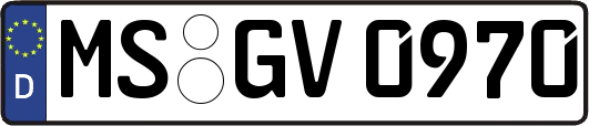 MS-GV0970