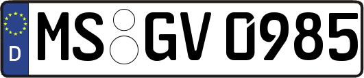 MS-GV0985