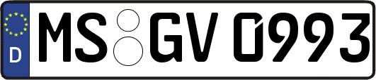 MS-GV0993
