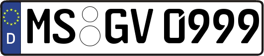 MS-GV0999