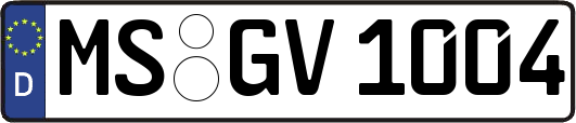 MS-GV1004