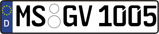 MS-GV1005