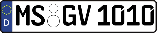 MS-GV1010