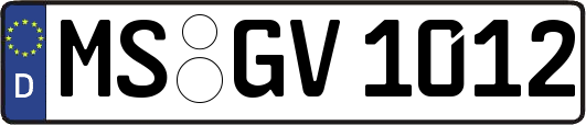 MS-GV1012