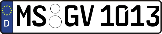 MS-GV1013