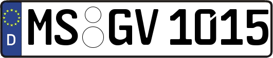 MS-GV1015