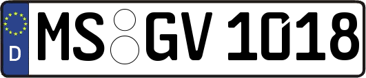 MS-GV1018