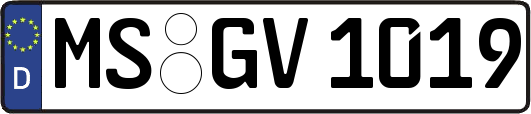 MS-GV1019