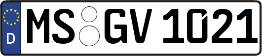 MS-GV1021