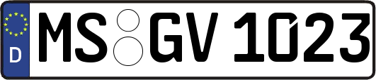 MS-GV1023