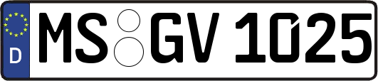 MS-GV1025
