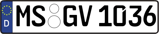 MS-GV1036
