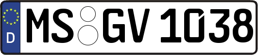 MS-GV1038