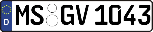 MS-GV1043