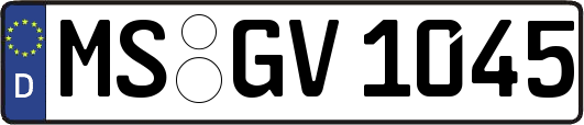 MS-GV1045