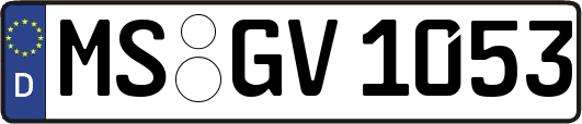 MS-GV1053