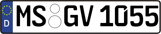 MS-GV1055