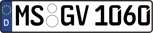 MS-GV1060