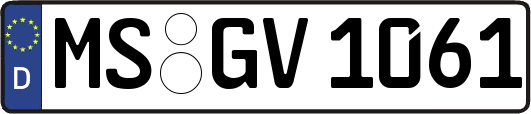MS-GV1061