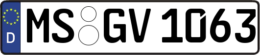 MS-GV1063