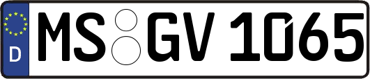 MS-GV1065