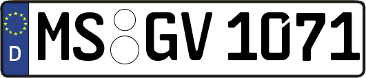 MS-GV1071