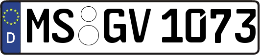 MS-GV1073