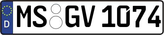 MS-GV1074