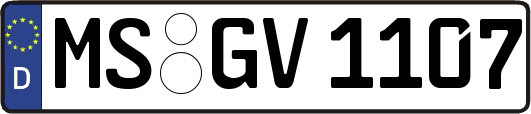 MS-GV1107