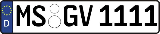 MS-GV1111