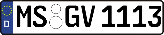 MS-GV1113