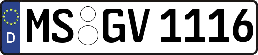 MS-GV1116