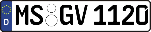 MS-GV1120
