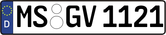 MS-GV1121