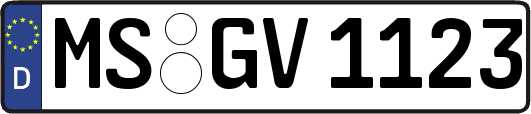 MS-GV1123