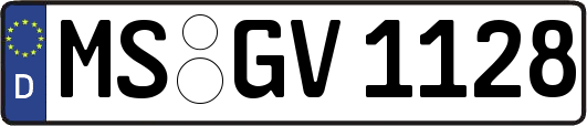 MS-GV1128