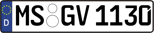 MS-GV1130