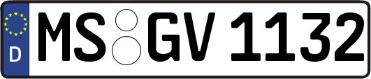 MS-GV1132