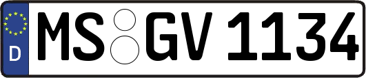 MS-GV1134