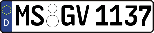 MS-GV1137
