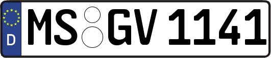 MS-GV1141