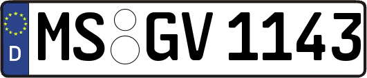 MS-GV1143