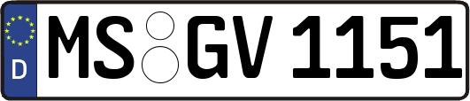 MS-GV1151