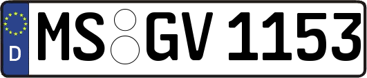 MS-GV1153