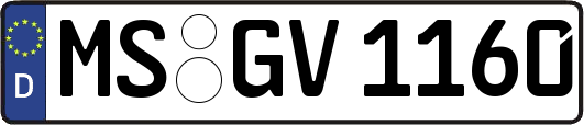 MS-GV1160